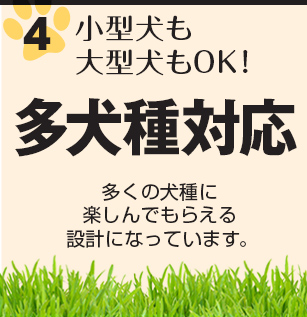 小型犬も大型犬もOK！　多犬種対応